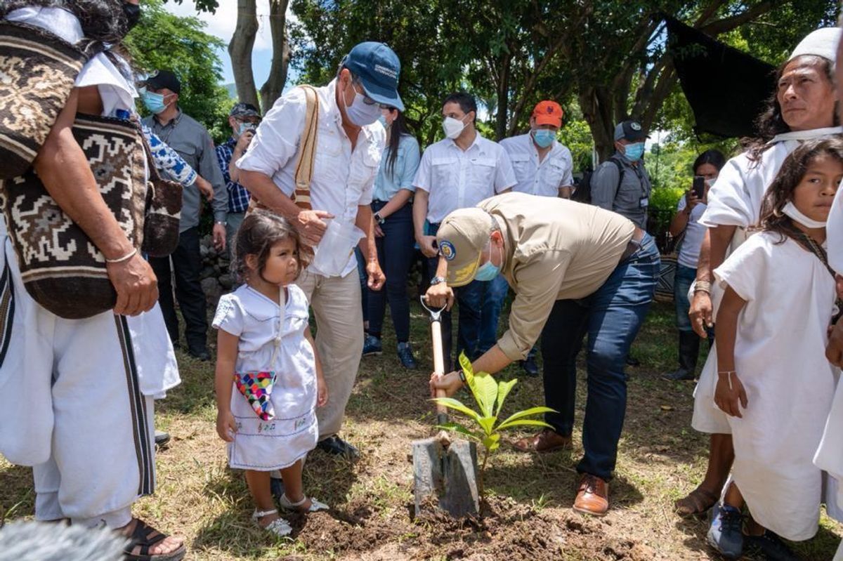 Presidente Duque anuncia la siembra de 700 mil árboles en la Sierra Nevada de Santa Marta