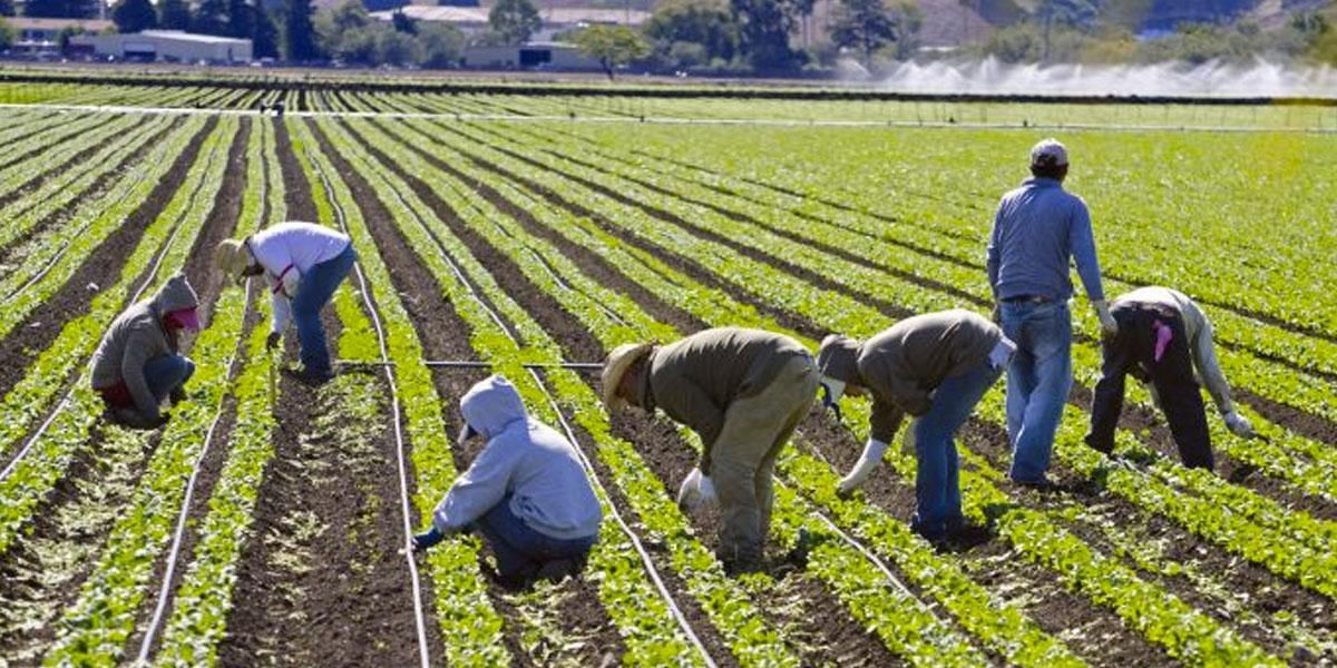 Duque sancionó Ley de Insumos Agropecuarios que apoya a pequeños y medianos productores
