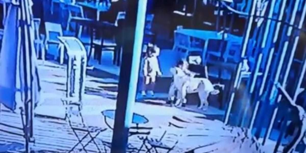 papa mata perro de una patada en argentina para salva hijo