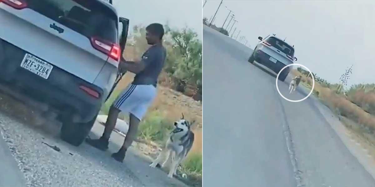 El triste momento en que un joven abandonó a un perro en una carretera.  El hombre fue arrestado