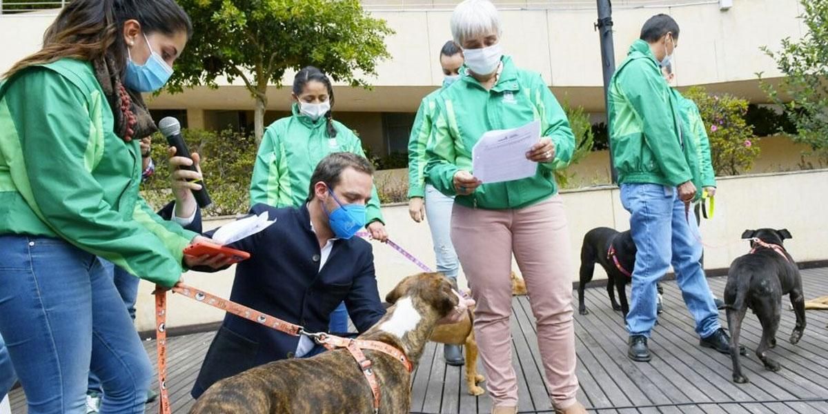Servidores del Distrito adoptaron perros y gatos rescatados por el Instituto de Bienestar y Protección Animal