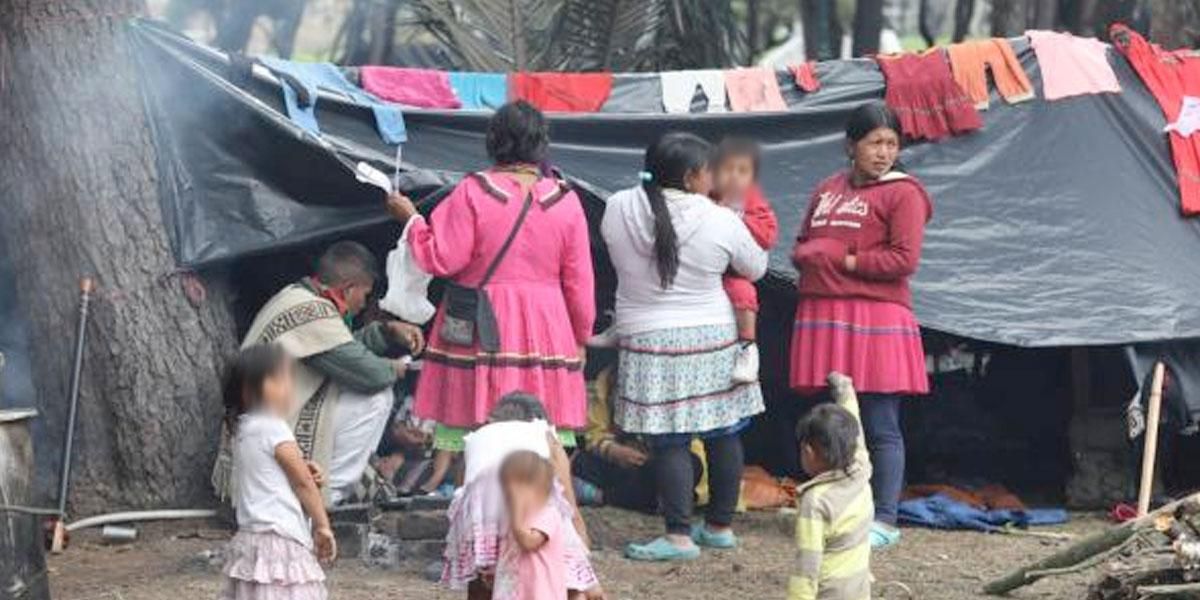 Ultimátum a indígenas del Parque Nacional, Distrito ofrece albergue y anuncia desalojo