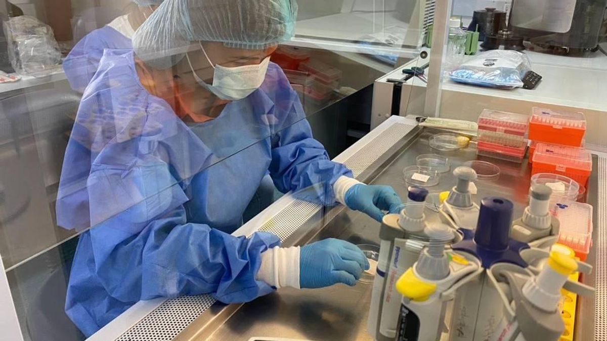 En Bogotá, científicos investigan creación de tejidos biosintéticos de piel y hueso