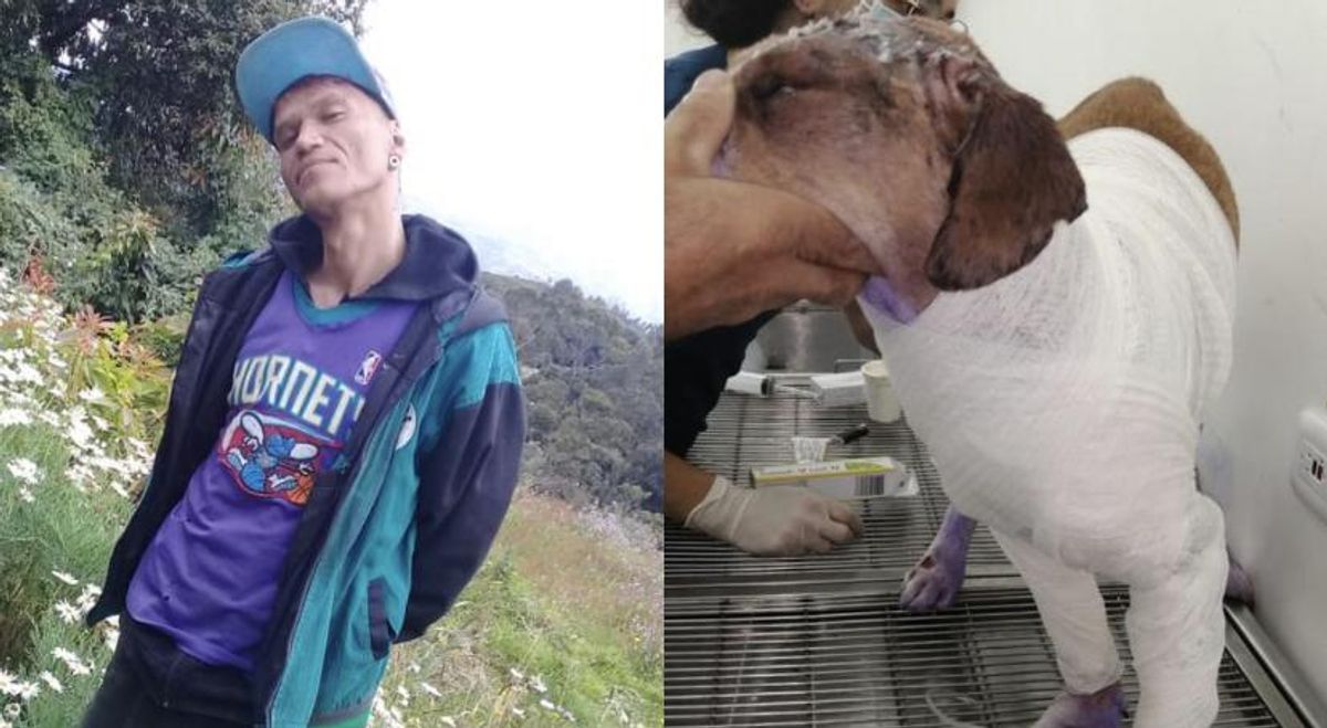 Indignación por perro que fue despellejado vivo en Boyacá