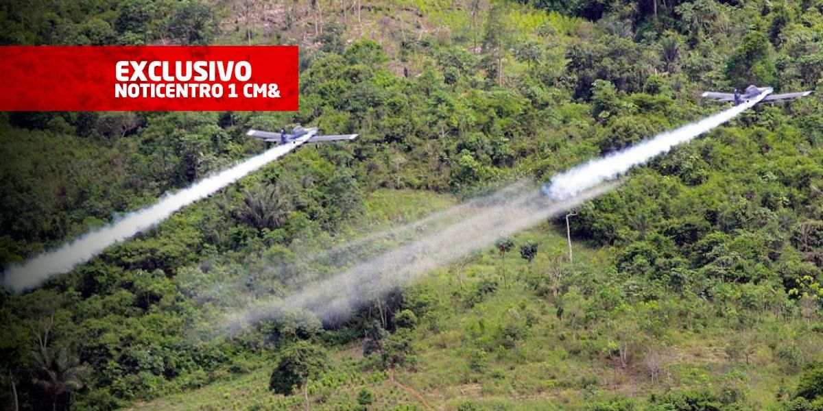 Las condiciones ambientales para reanudar la fumigación de cultivos de coca mediante aspersión