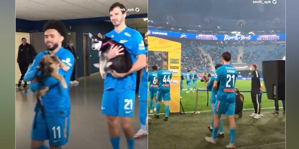 Un equipo de fútbol ingresó a la cancha con perros para promover su adopción