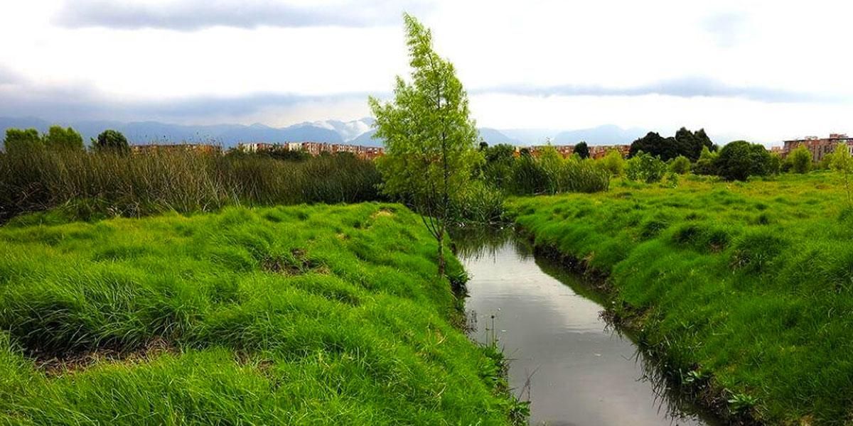 Presentan un plan de salvamento para humedales en Bogotá