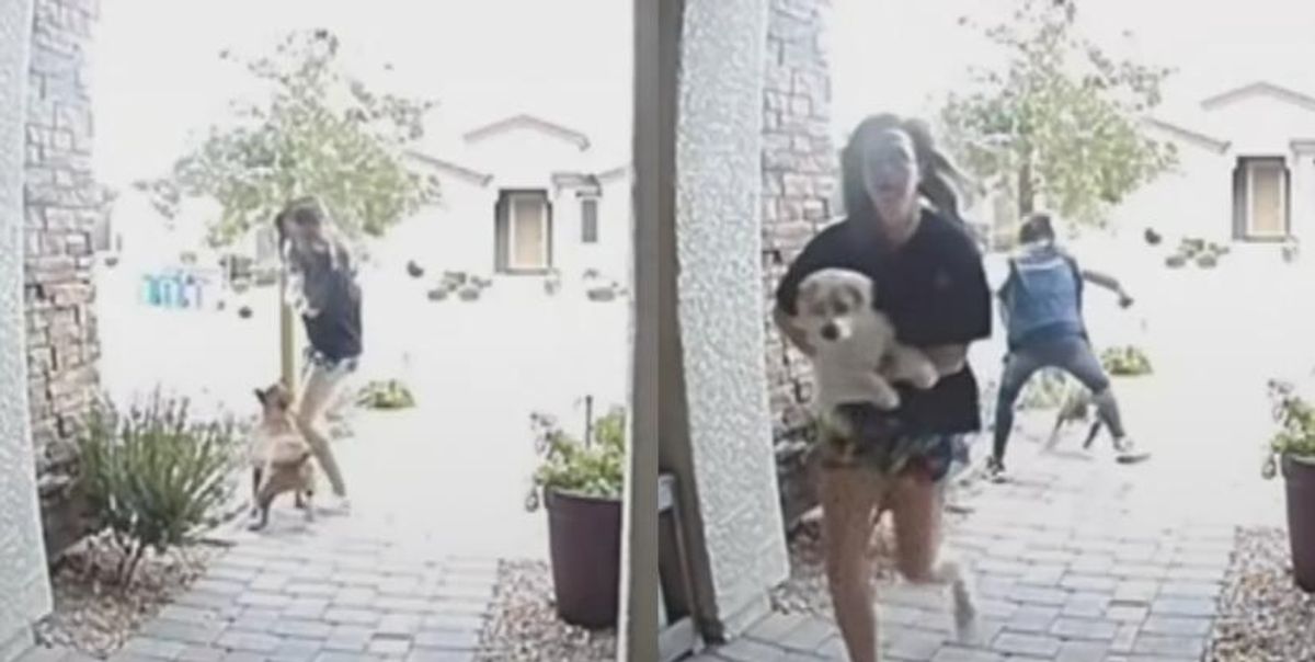 Repartidora salvó a joven de ataque de perro