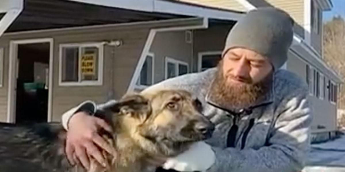 Perro guió a la Policía hasta su amo para rescatarlo tras accidente