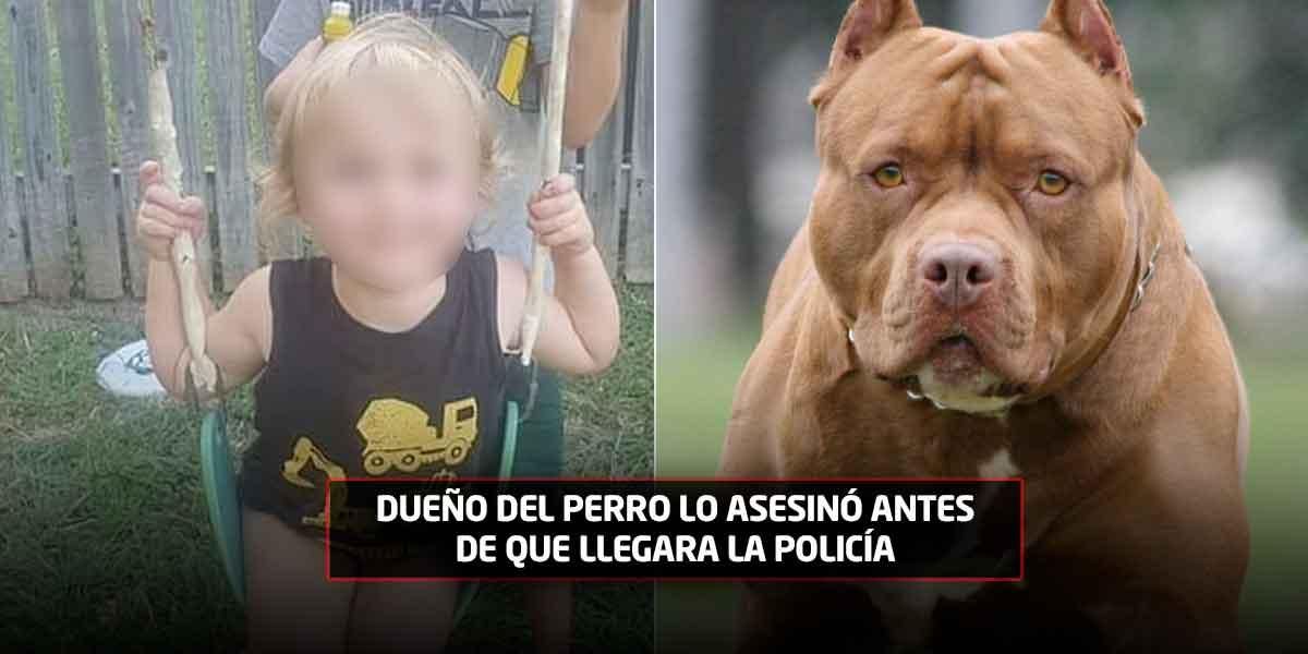 El atroz crimen del perro de la familia contra un menor de 2 años que caminaba por el patio de su casa