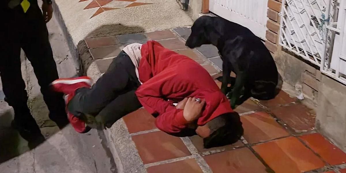 Video| Perrito cuida a su dueño que se quedó dormido borracho en la calle