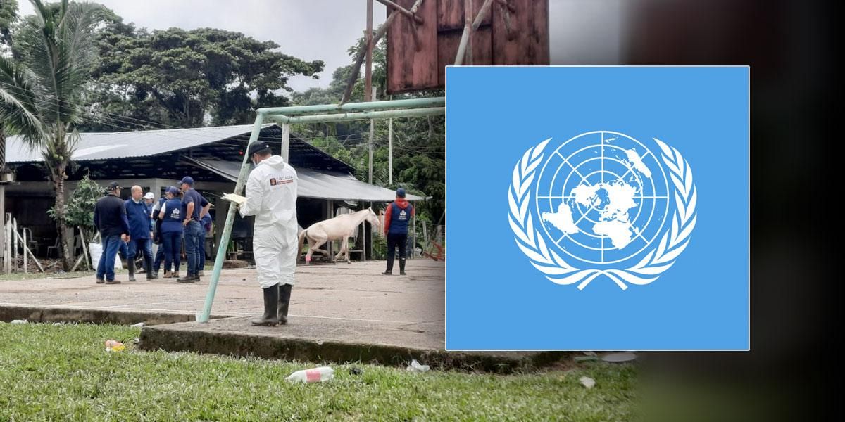 Naciones Unidas pide enjuiciar y sancionar a los responsables de muertes en Putumayo