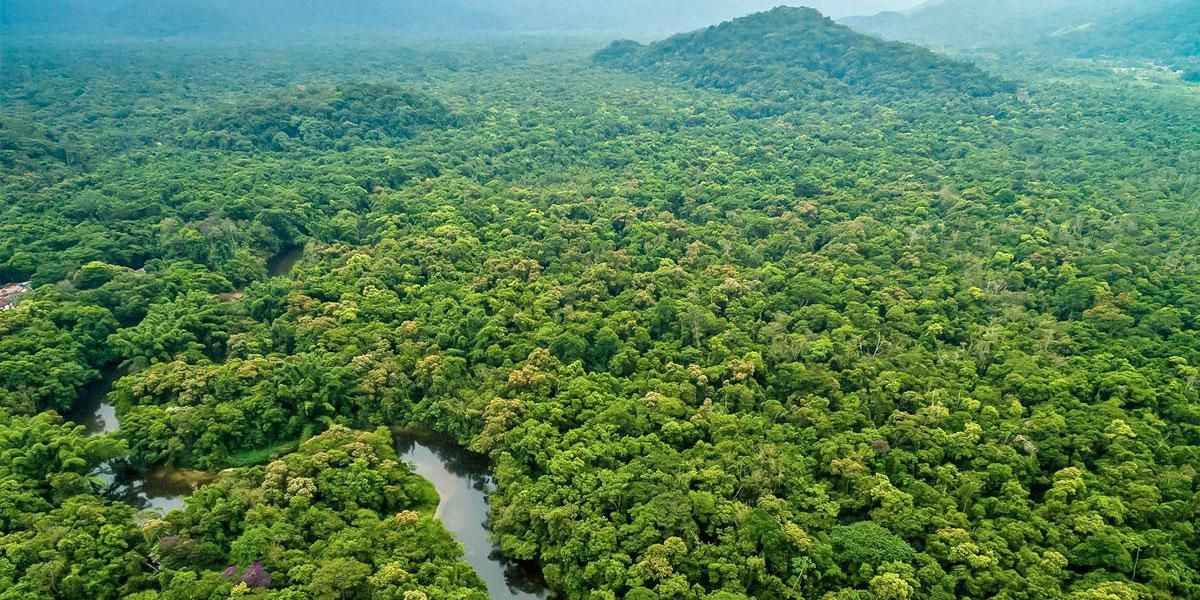 Colombia y UE dialogan sobre medio ambiente y acción climática en la Amazonía