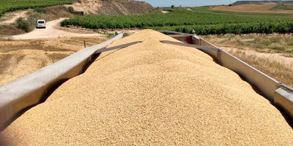 EE. UU. y la ONU presionan a Rusia para que permita exportar el cereal ucraniano