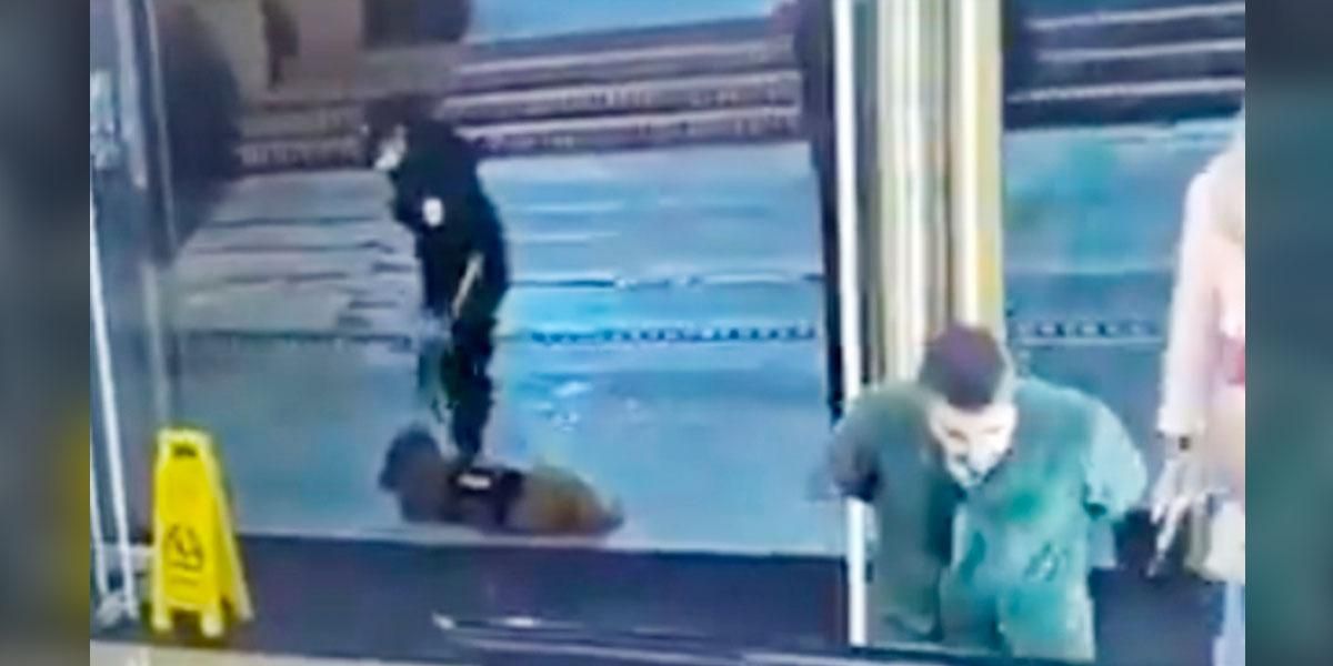 Despiden al guardia que maltrató y golpeó con patadas a un perro en el Centro Comercial Andino