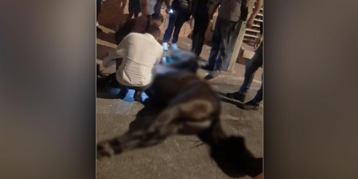 Intolerable: Polémica por muerte de un caballo durante la cabalgata de la feria en Tuluá, Valle