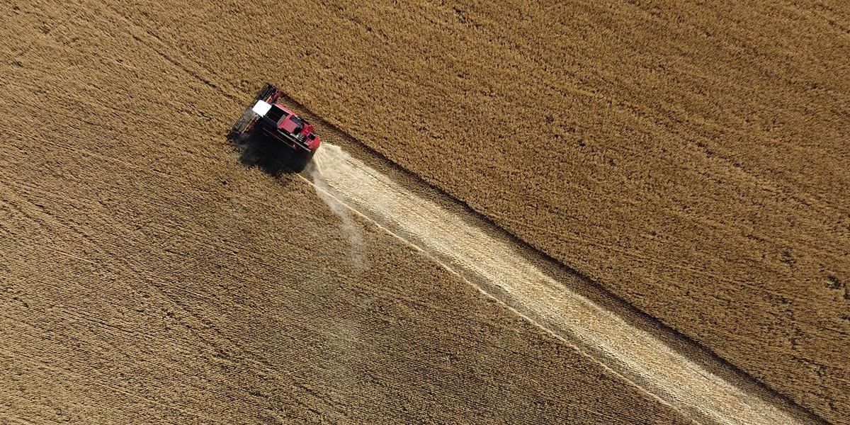 Rusia controla 22% de las tierras agrícolas de Ucrania, según la NASA