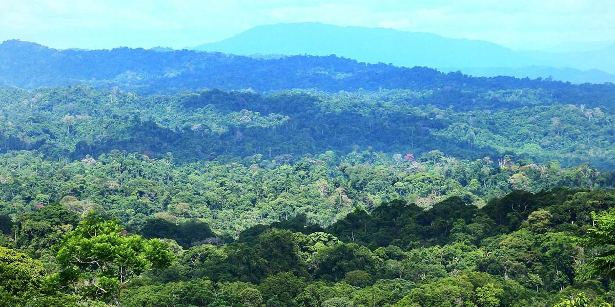 El programa que fomentó la conservación de ecosistemas amenazados en Colombia