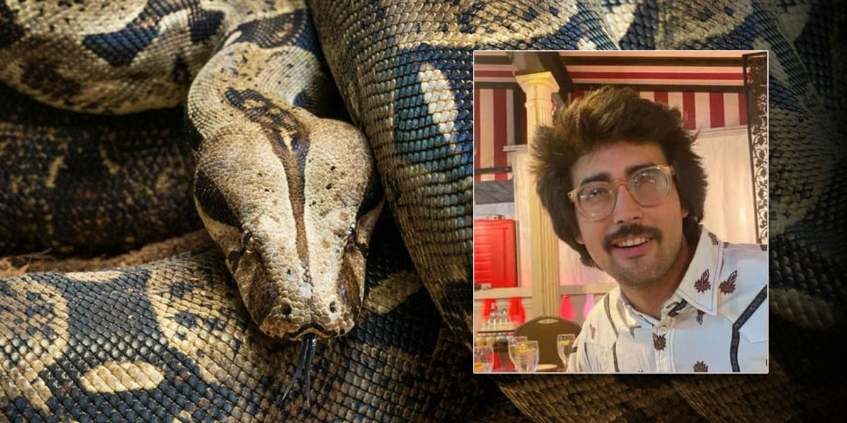 Hombre murió tras ser estrangulado por su serpiente mascota: la policía mató al animal a disparos