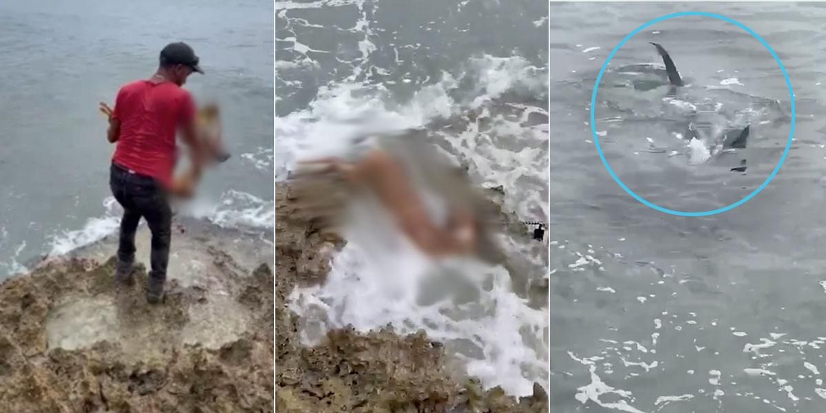 Un pescador usó el cadáver de un perro como carnada para atraer tiburones en una costa de San Andrés