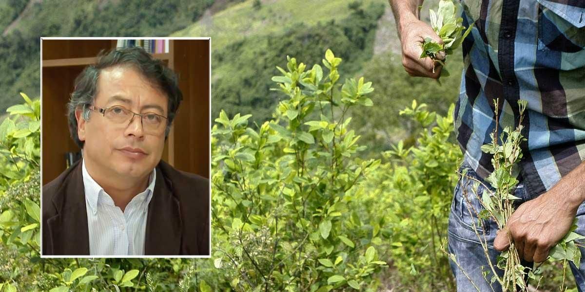 Presentan nueva política antidrogas en Putumayo: evento se realizó con campesinos cultivadores de hoja de coca