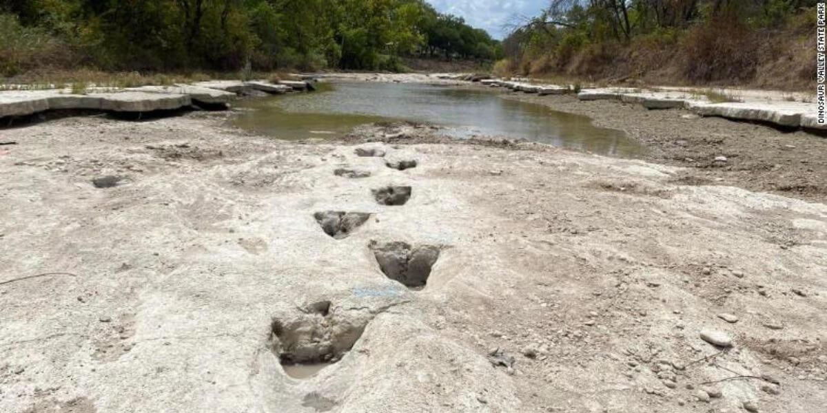 Por sequía, se descubren huellas de dinosaurios que vivieron hace 113 millones de años