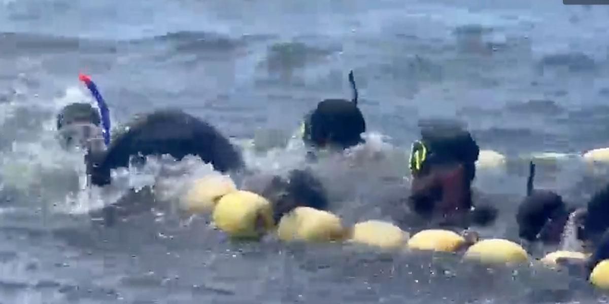 Video: Denuncian cruel pesca en Bahía Solano, Chocó; había delfines heridos “botando sangre”