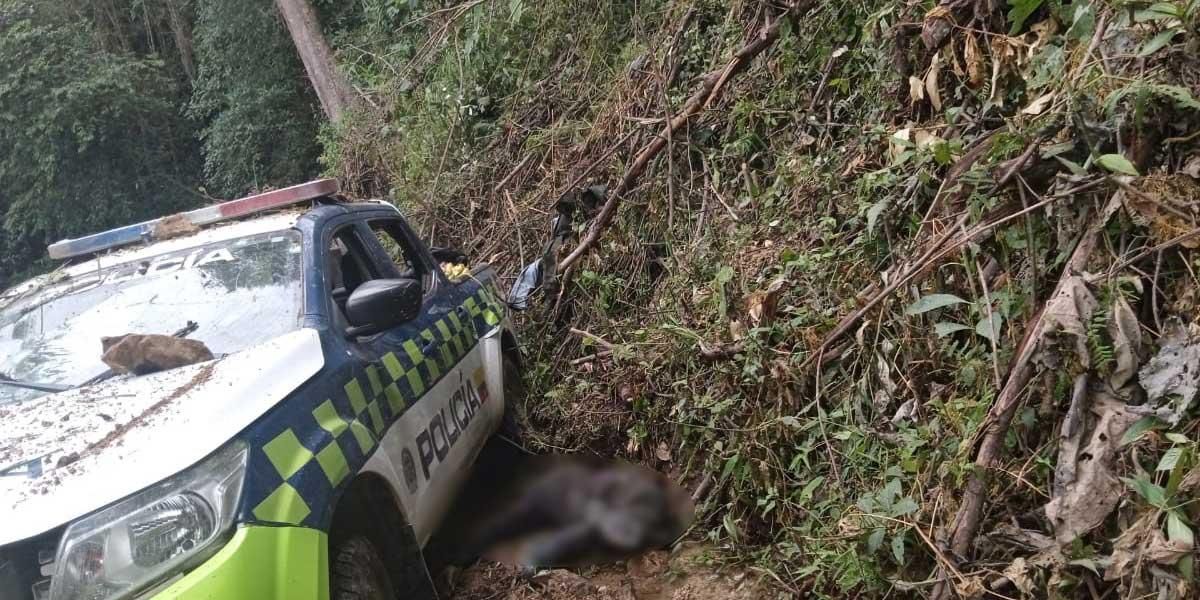 Crudas imágenes: los destrozos del cruel ataque que cobró la vida de 7 policías en Huila