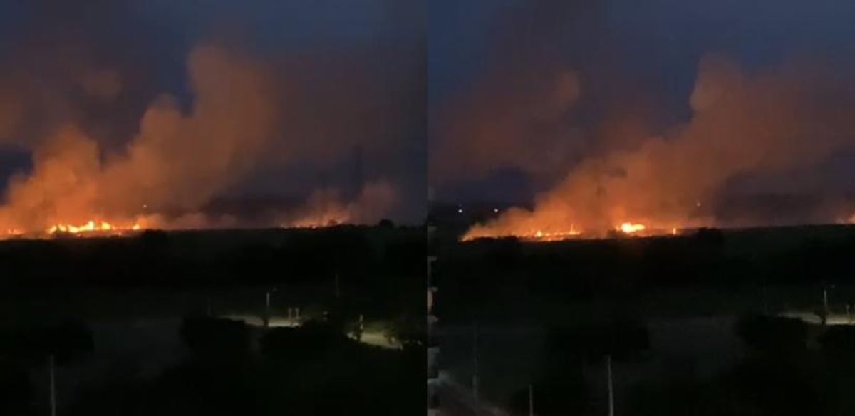 Voraz incendio forestal en Cali, cuerpo de Bomberos tarta de controlar la situación
