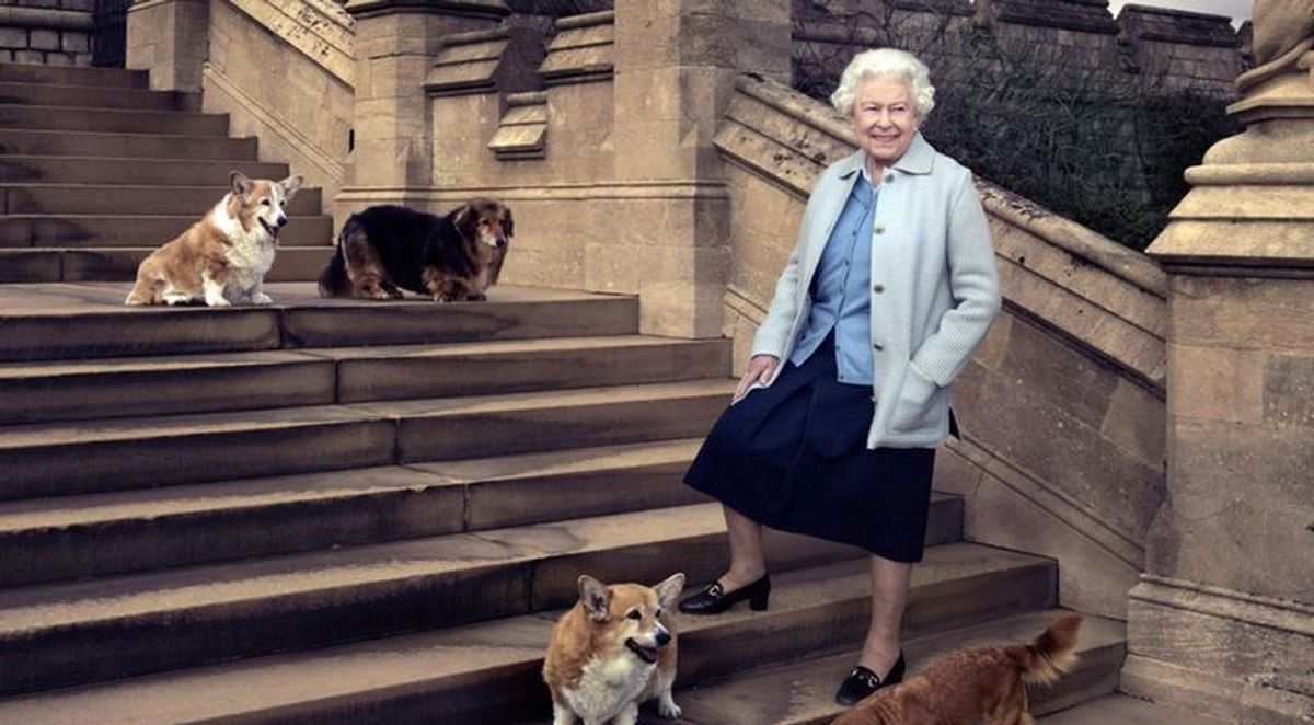 ¿Qué pasará con los amados ‘corgis’ de la difunta reina Isabel II?
