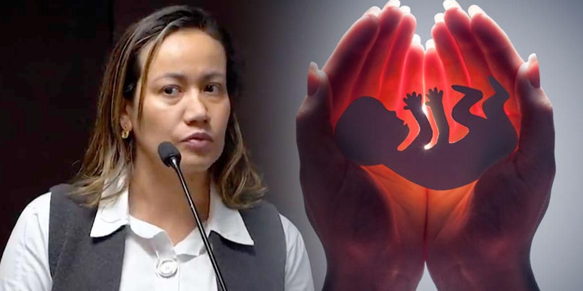 Ministerio de Salud se opone a nueva demanda que pide prohibir el aborto