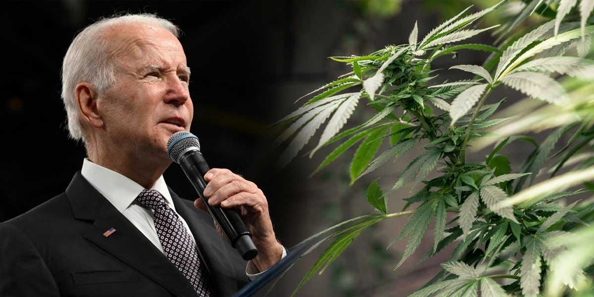 Joe Biden otorgó perdón a todas las personas condenadas por posesión de marihuana