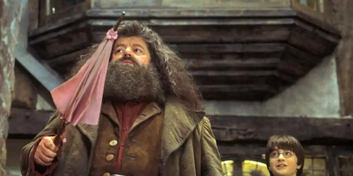 Hagrid de Harry potter