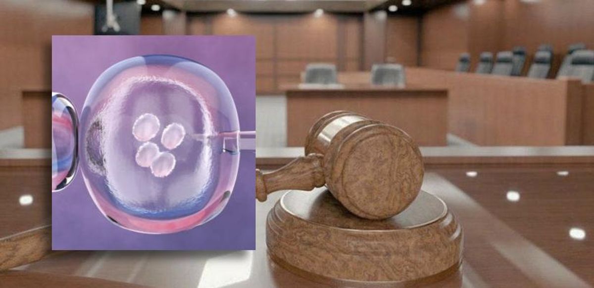 Embriones congelados: Corte fija reglas para Técnicas de Reproducción Humana Asistida