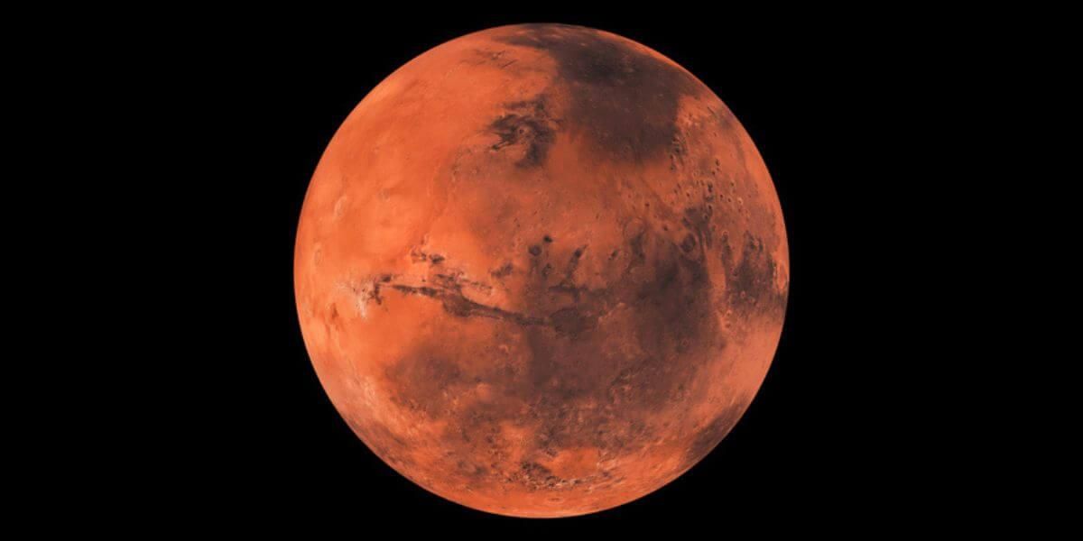 La NASA publica nuevas imágenes de su exploración en Marte y encontraron ¿un pato?