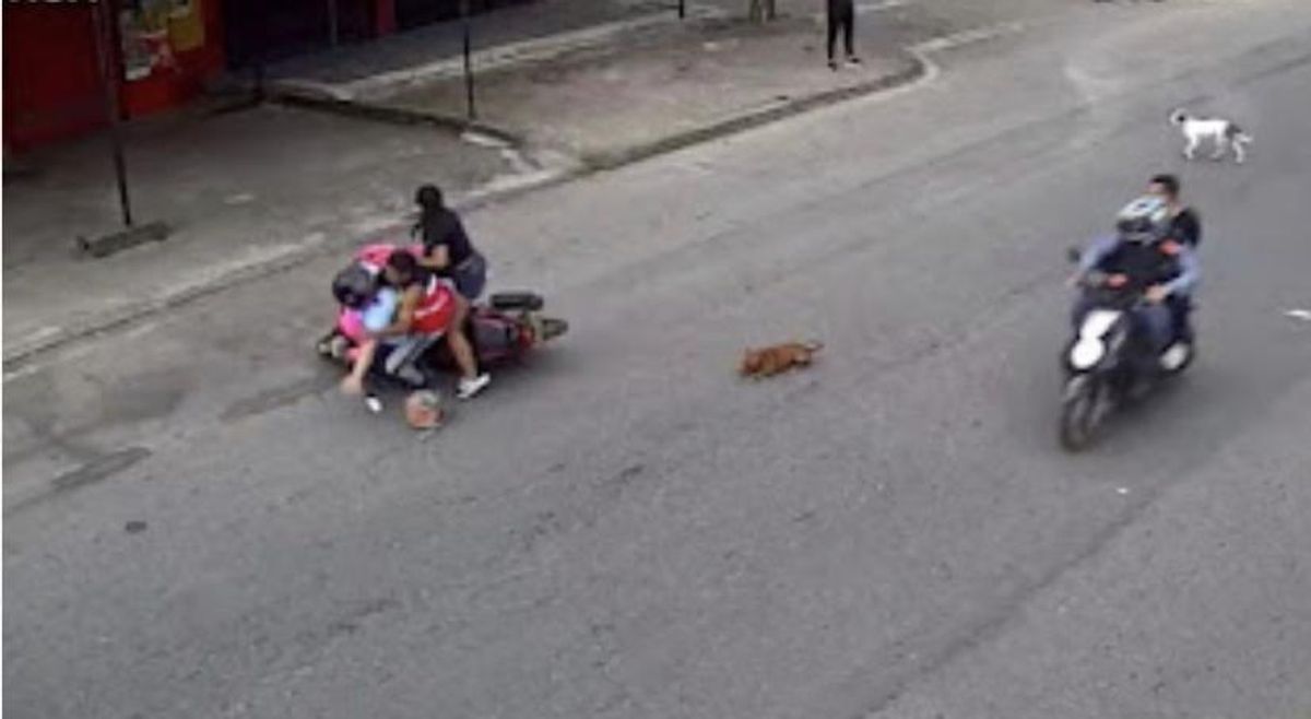 Buscan a motociclista en Villavicencio que atropelló dos perritos, tras el accidente los cogió a patadas