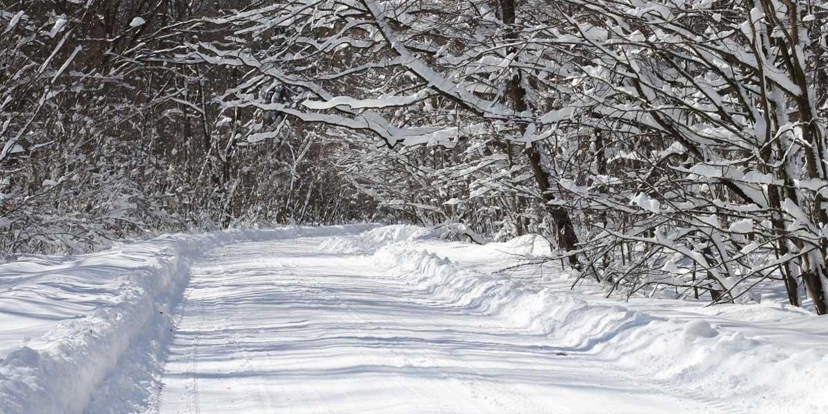 “Este invierno se tratará de sobrevivir”: OMS advierte que invierno boreal supondrá una “amenaza” para ucranianos
