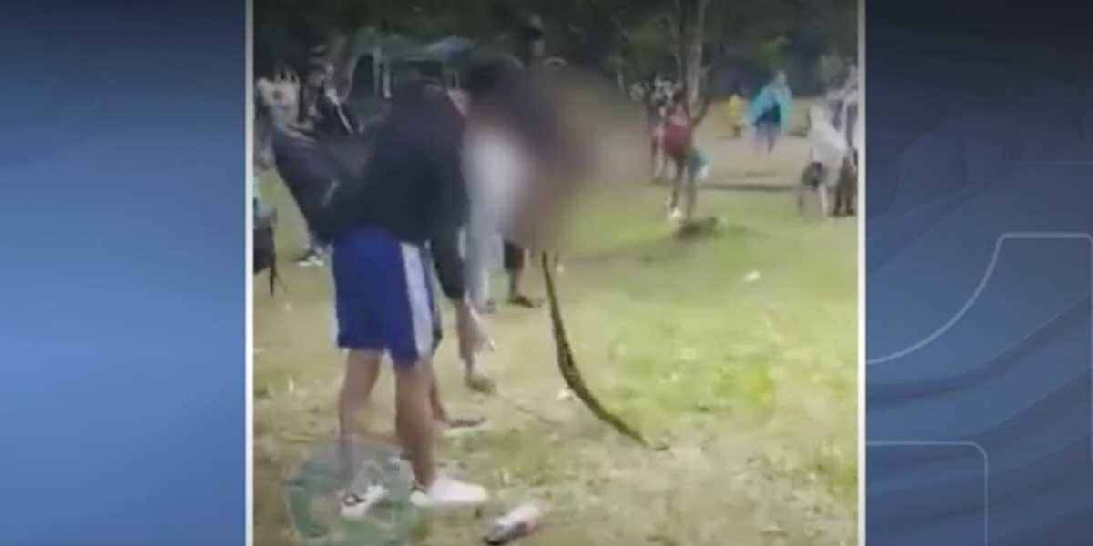 Hombre fue mordido por una serpiente mapaná al evitar que la mataran en Cali