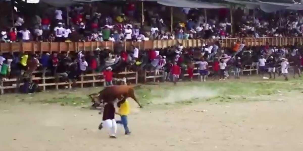 Deplorable espectáculo: lanzan explosivos contra animales en corralejas de Necoclí