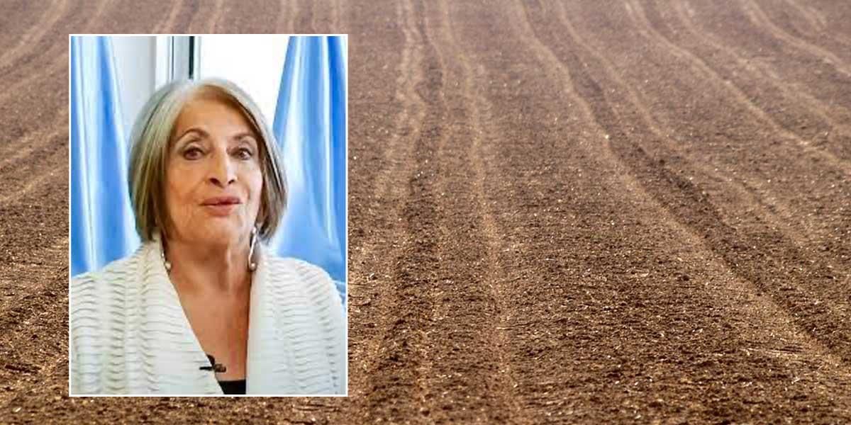 Reforma Agraria: MinAgricultura recibe propuestas de venta de 1.756.000 hectáreas