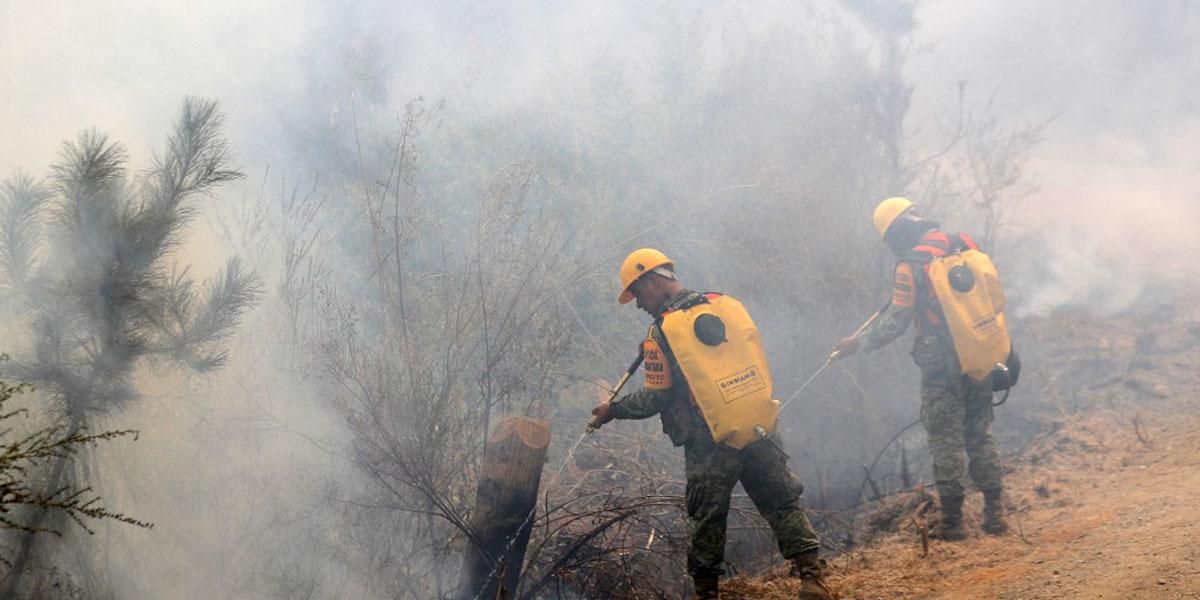 Incendios en Chile cumplen una semana y no hay señales de control de la emergencia