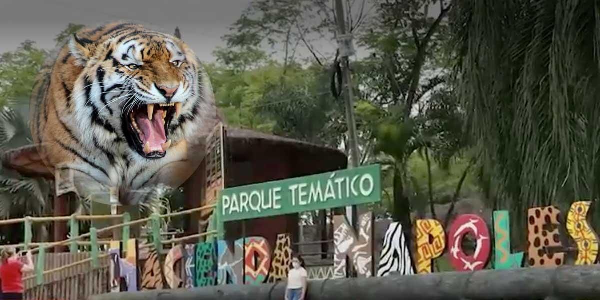 Pánico en la Hacienda Nápoles: tigre que logró escapar por falla en protocolo, recibió disparo
