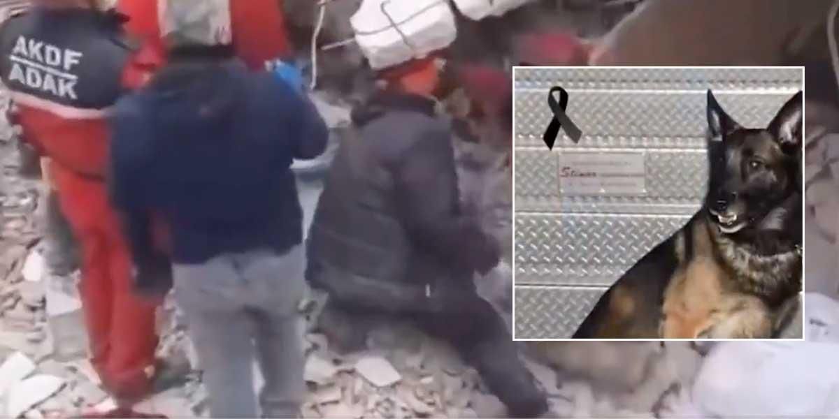 Ejército mexicano despide a Proteo, perro rescatista que murió en Turquía