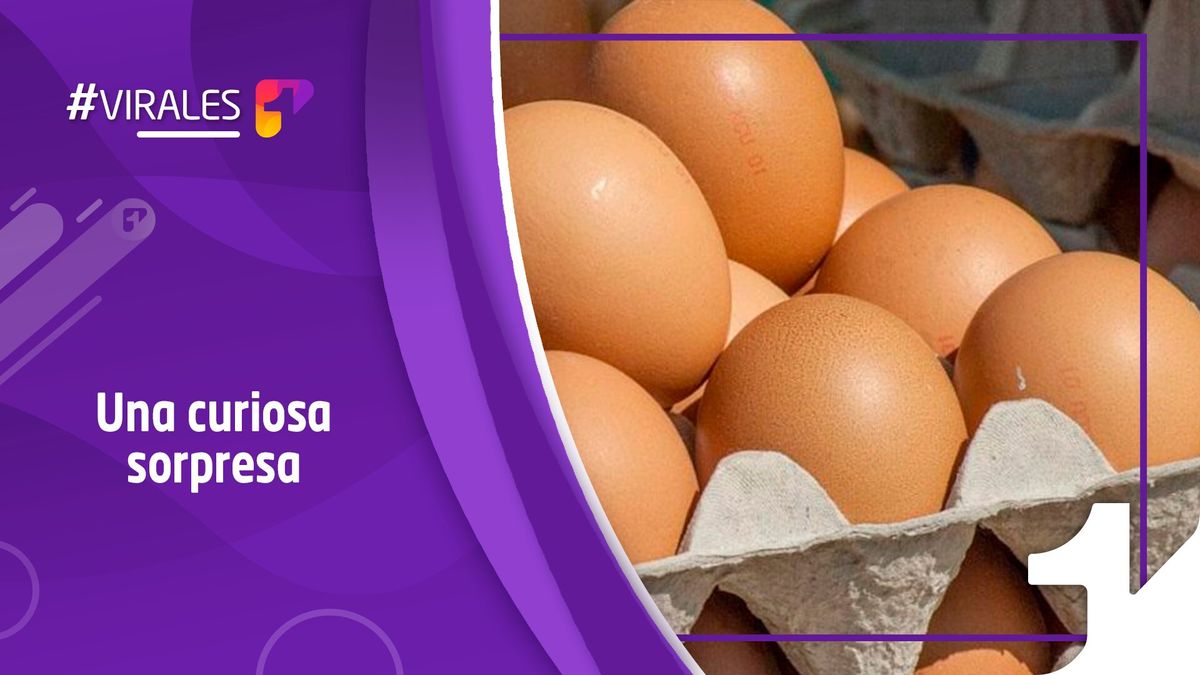 “¿Cuál es el huevo que hace pío-pío?”: compraron cubeta de huevos y les llegó con una sorpresa