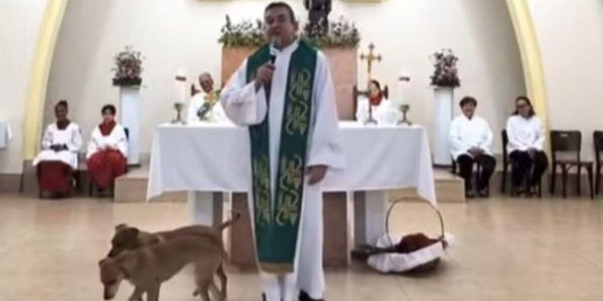 La reacción de sacerdote al ver a dos perros apareándose en plena misa