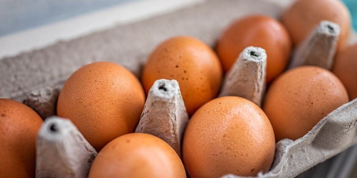 Conoce los beneficios de consumir huevo