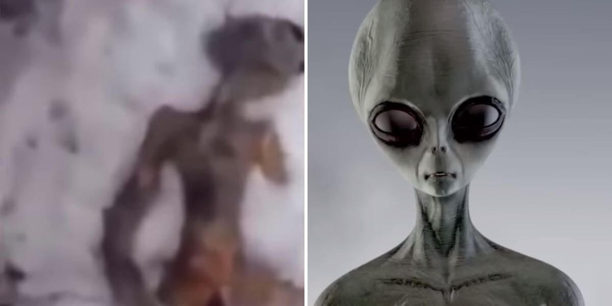 ¿Hoy nos visitan los alienígenas 5 videos con encuentros cercanos