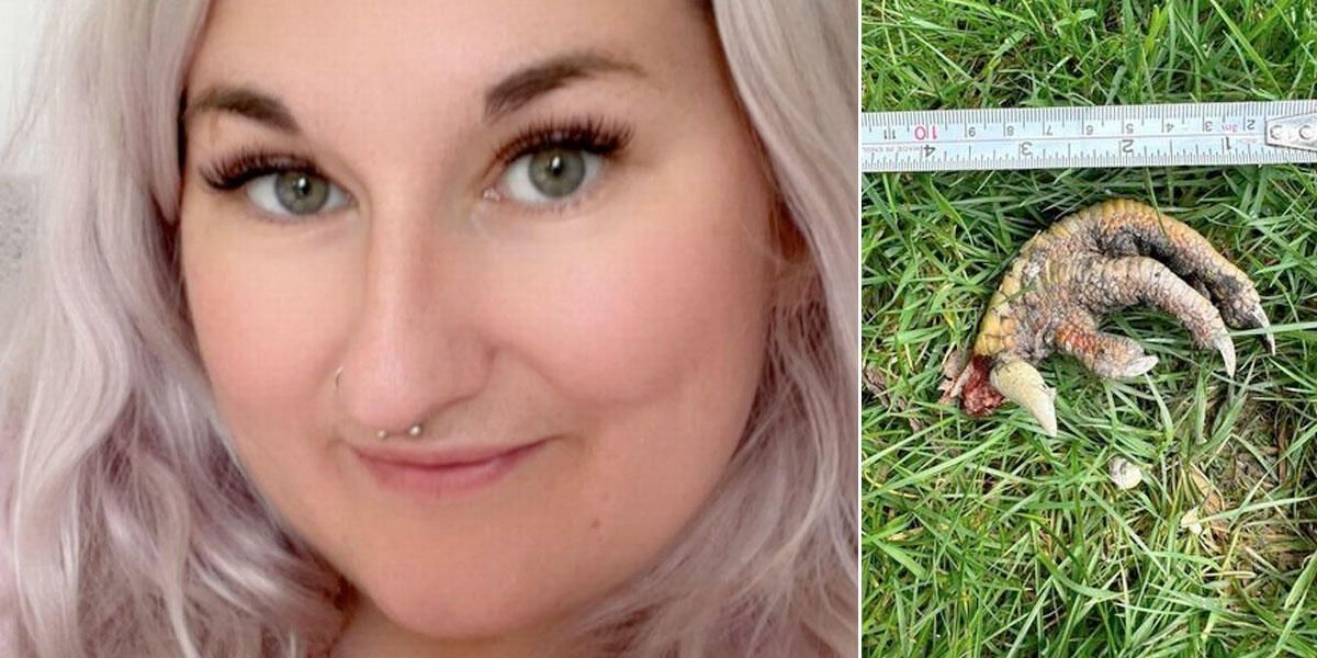 Mujer halló “garra de dinosaurio” en su patio: los expertos quedaron desconcertados