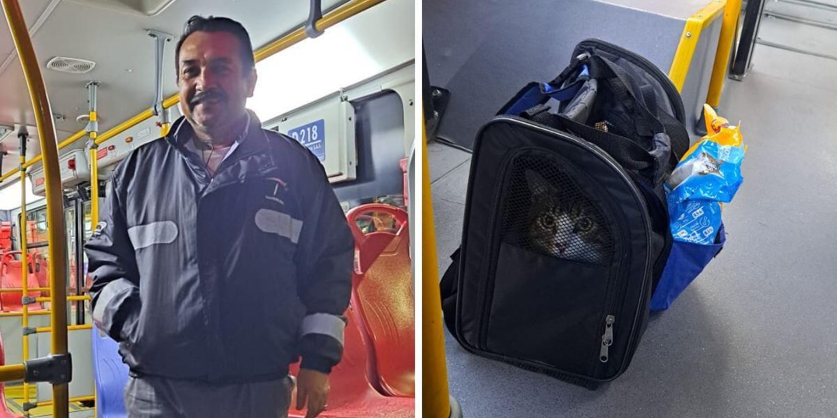 Conductor que encontró un gatito abandonado en Transmilenio lo adoptó