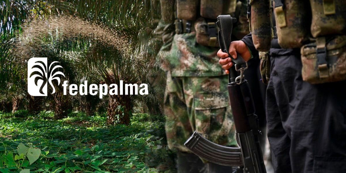 Fedepalma hace llamado urgente a las autoridades por ataques violentos en zonas palmeras
